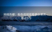 网络热梗：粉色视频观看模仿潮流 · 爆点579