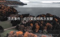 顶流事件：向日葵视频再次发酵