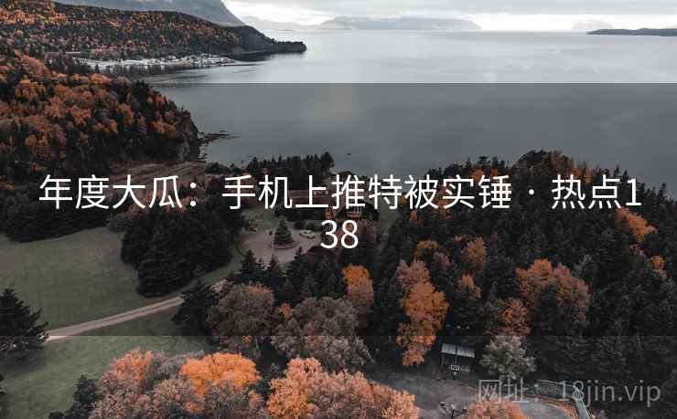 年度大瓜：手机上推特被实锤 · 热点138